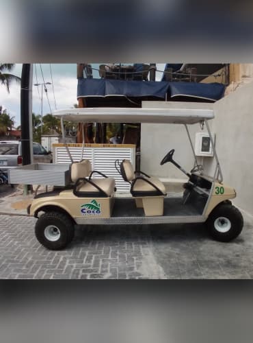 large-golf-carts-reservations